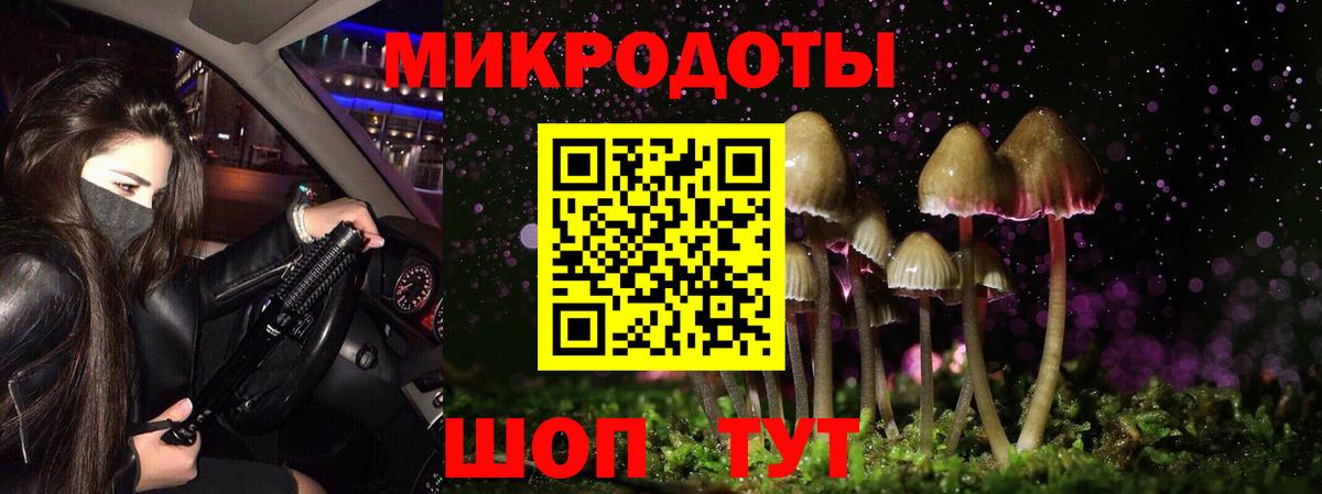 Щёкино  Псилоцибиновые грибы Magic Shrooms  как найти закладки  Галлюциногенные грибы мухоморы  Вход с VPN 