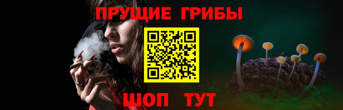 Галлюциногенные грибы MAGIC MUSHROOMS Щёкино